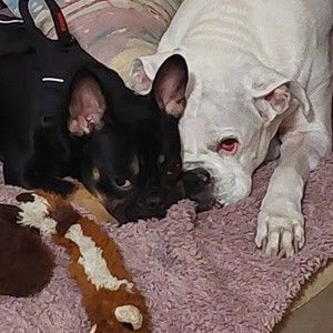 Meet your Posher, Gina